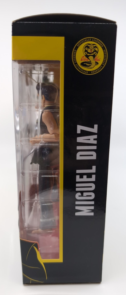 Teenage Mutant Ninja Turtles vs Cobra Kai Leonardo vs Miguel Diaz