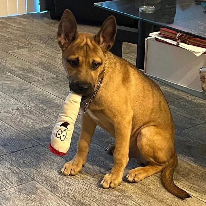 Jay the Joint, Cute Stuffed Dog Toy