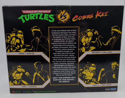 TMNT vs Cobra Kai - Michelangelo vs Daniel Larusso