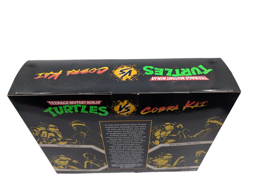 TMNT vs Cobra Kai - Michelangelo vs Daniel Larusso